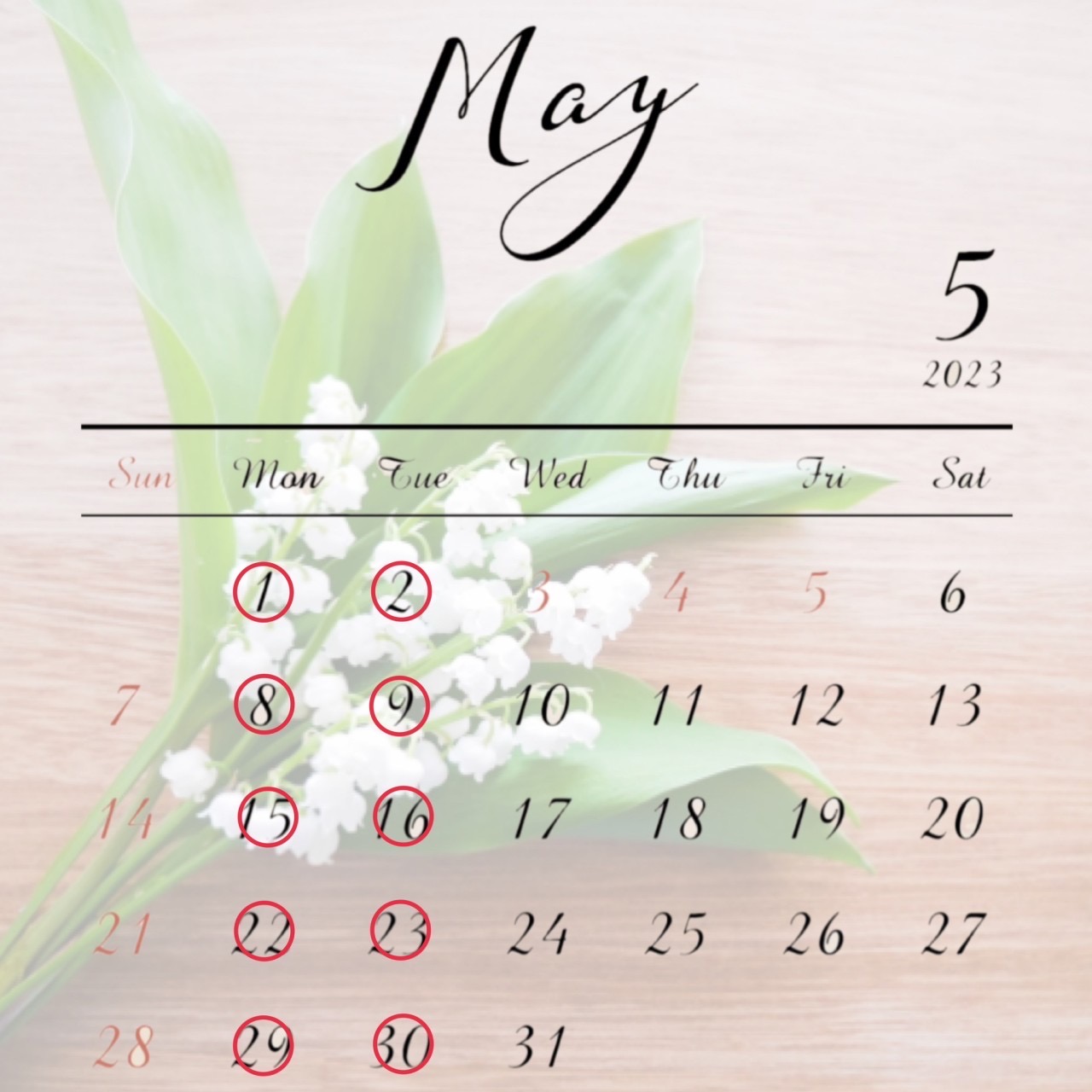 5月の営業日　デザインカラー　立体感カラー　人気スタイリスト　岐阜羽島　美容室SIRENAセレナ