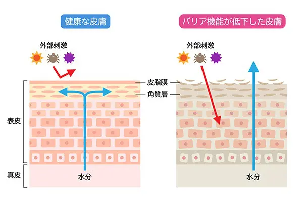 ZOGANKIN OVO楽しい美容院　羽島美容室セレナ 人気美容院