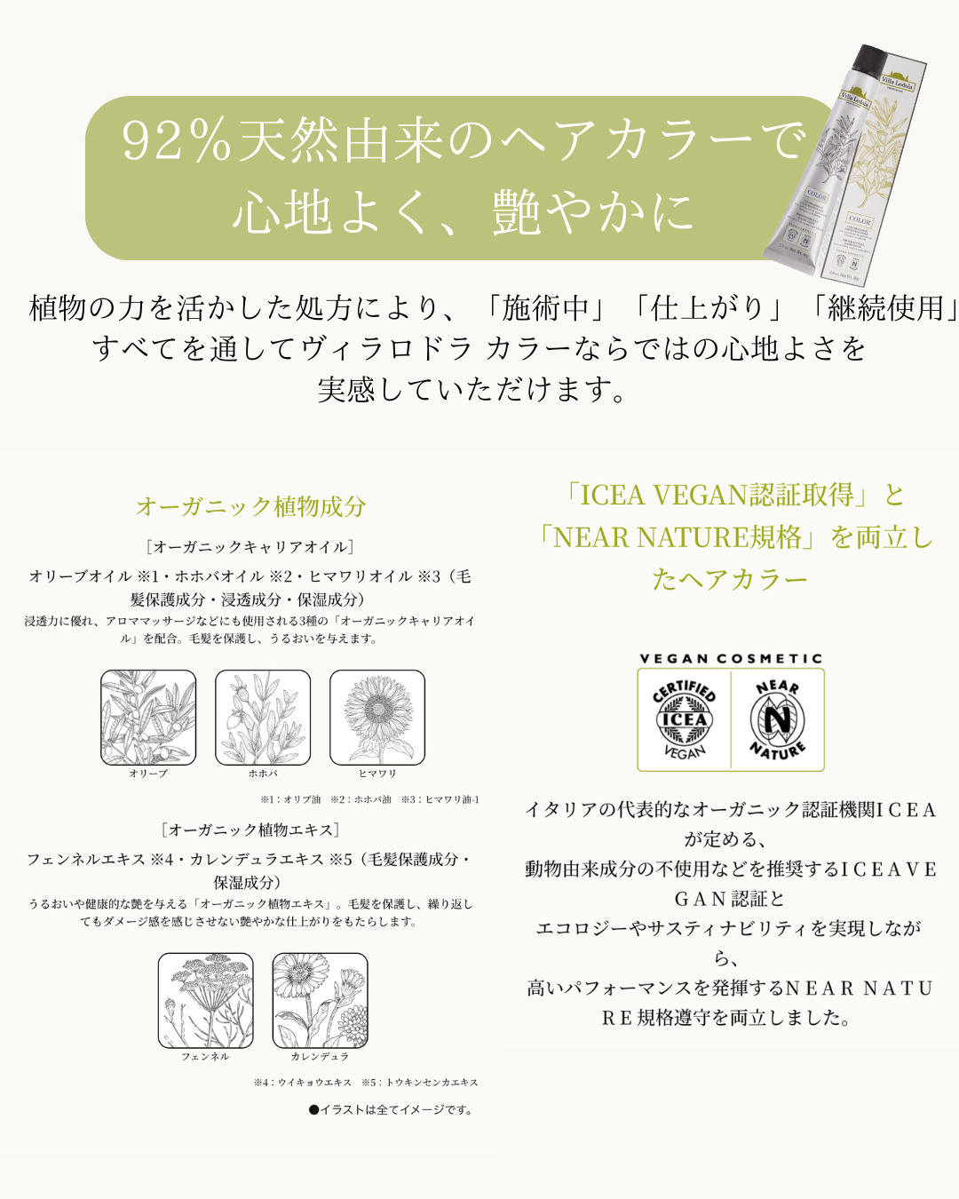 Villa Lodolaヴィラロドラ　オーガニックカラー　女性に人気の美容院　人気スタイリスト　岐阜羽島　スタッフ募集　美容室SIRENAセレナ