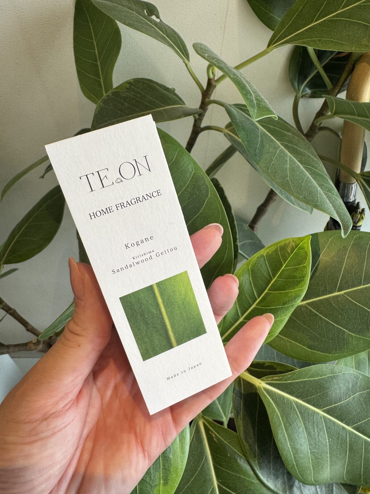 TEON ホームフレグランス 女性に人気の美容院 人気スタイリスト 岐阜羽島 スタッフ募集 美容室SIRENAセレナ