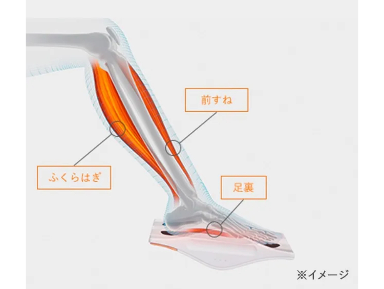 SIXPAD　footfot3 女性に人気の美容院　人気スタイリスト　岐阜羽島　スタッフ募集　美容室SIRENAセレナ