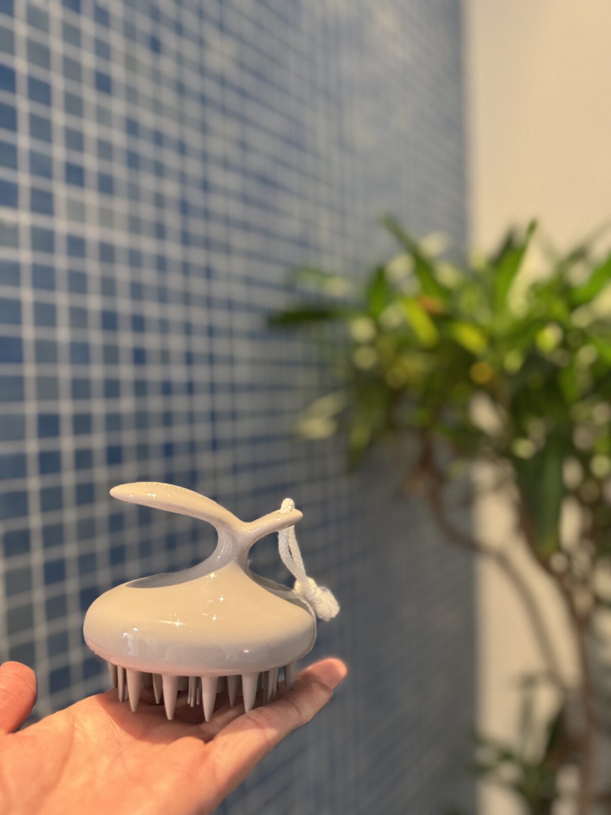 ヘッドケアブラシ　女性に人気の美容院　人気スタイリスト　岐阜羽島　スタッフ募集　美容室SIRENAセレナ