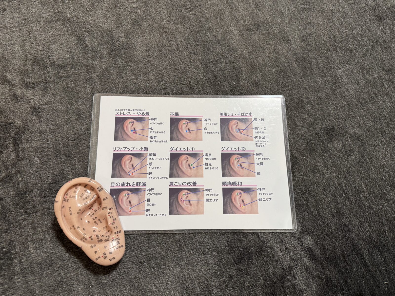 耳ツボダイエット 女性に人気の美容院 人気スタイリスト 岐阜羽島 スタッフ募集 美容室SIRENAセレナ