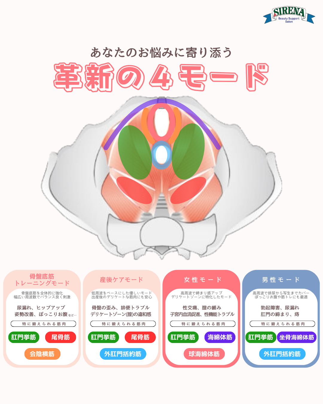 尿漏れ 頻尿トラブル 性交痛 デリケートゾーンのお悩み 産後ケア 生理不順 ホルモンバランス 更年期 骨盤の歪み 勃起障害 肛門の締まり女性に人気の美容院　人気スタイリスト　岐阜羽島　スタッフ募集　美容室SIRENAセレナ